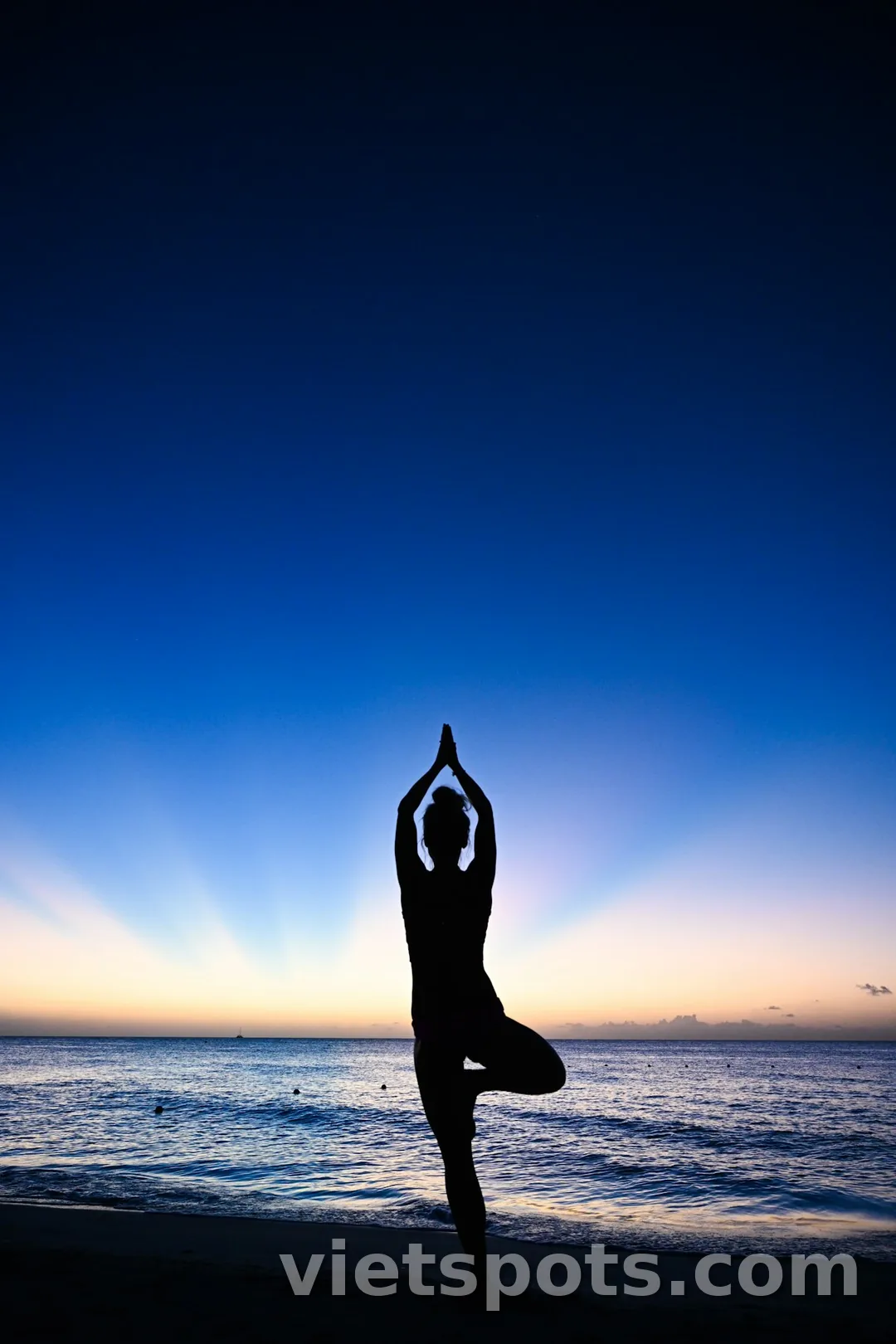 Silhouette người tập yoga tree pose trên bãi biển lúc sunrise/twilight blue