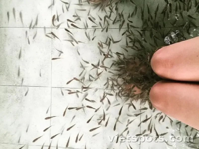 Khu du lịch Hòa Phú Thành: Địa điểm giải nhiệt siêu đã ngày hè