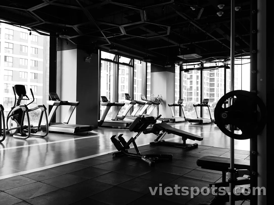 Gym hiện đại với hàng treadmills, elliptical, dumbbells rack, view tòa cao tầng qua kính lớn