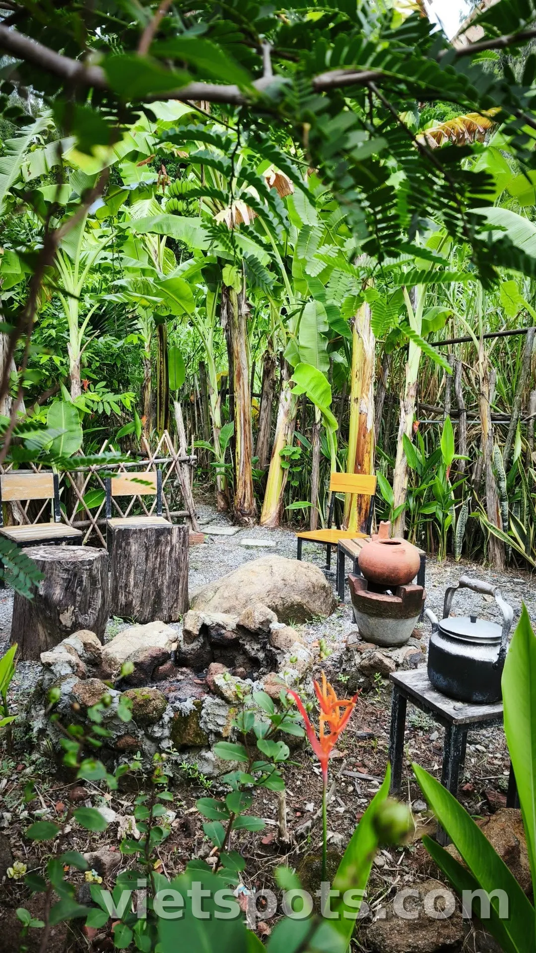 🌿 OM Tea & Coffee – Một góc trà xanh dưới chân núi Sơn Trà