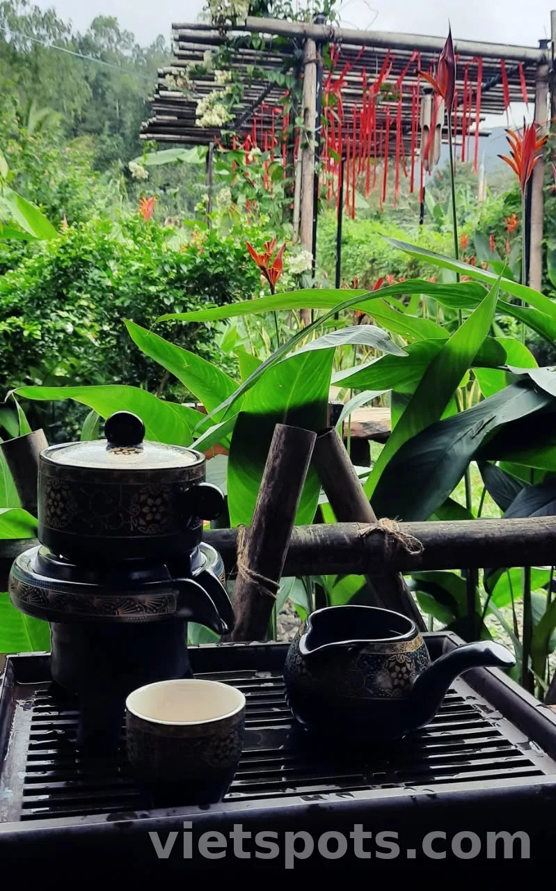 🌿 OM Tea & Coffee – Một góc trà xanh dưới chân núi Sơn Trà