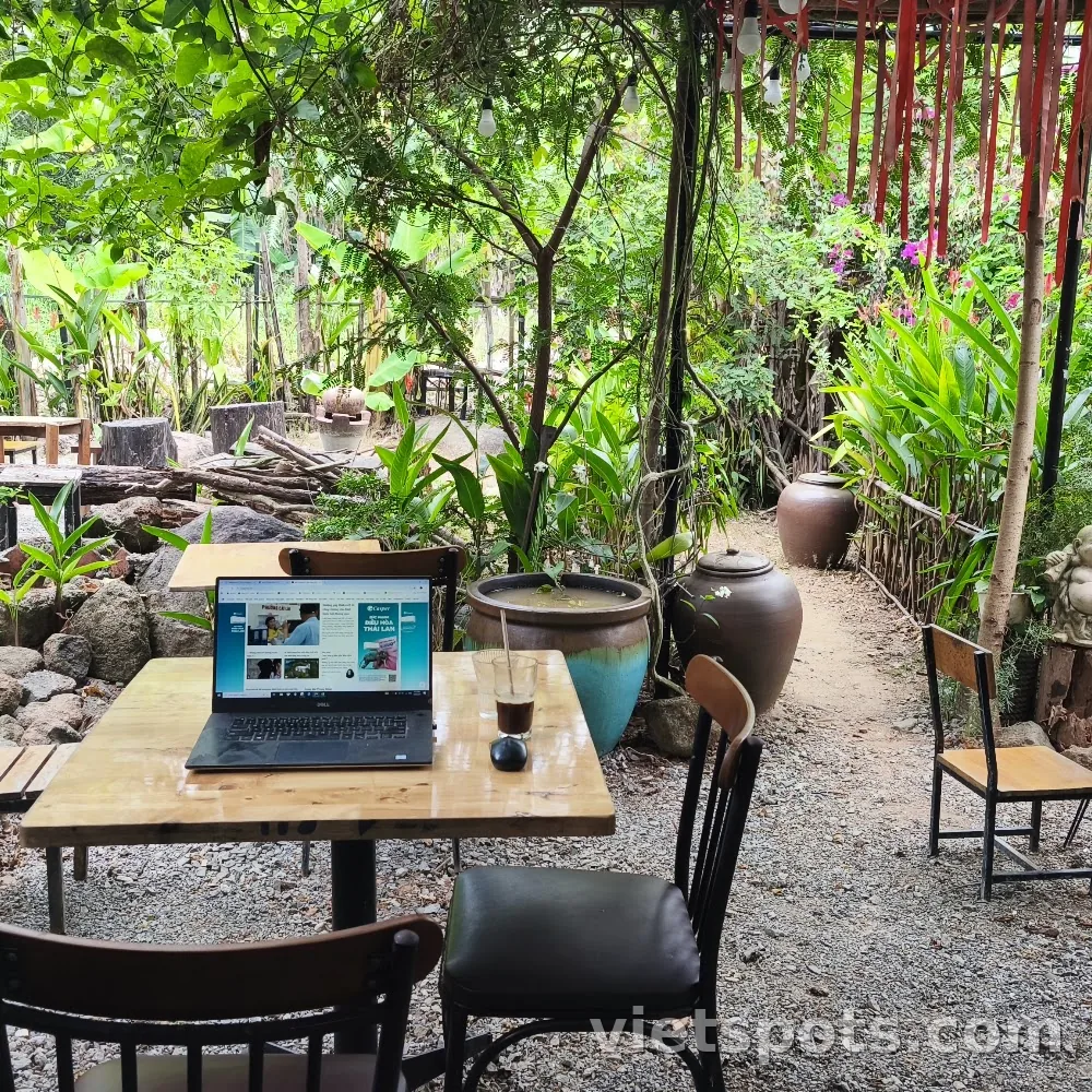 🌿 OM Tea & Coffee – Một góc trà xanh dưới chân núi Sơn Trà