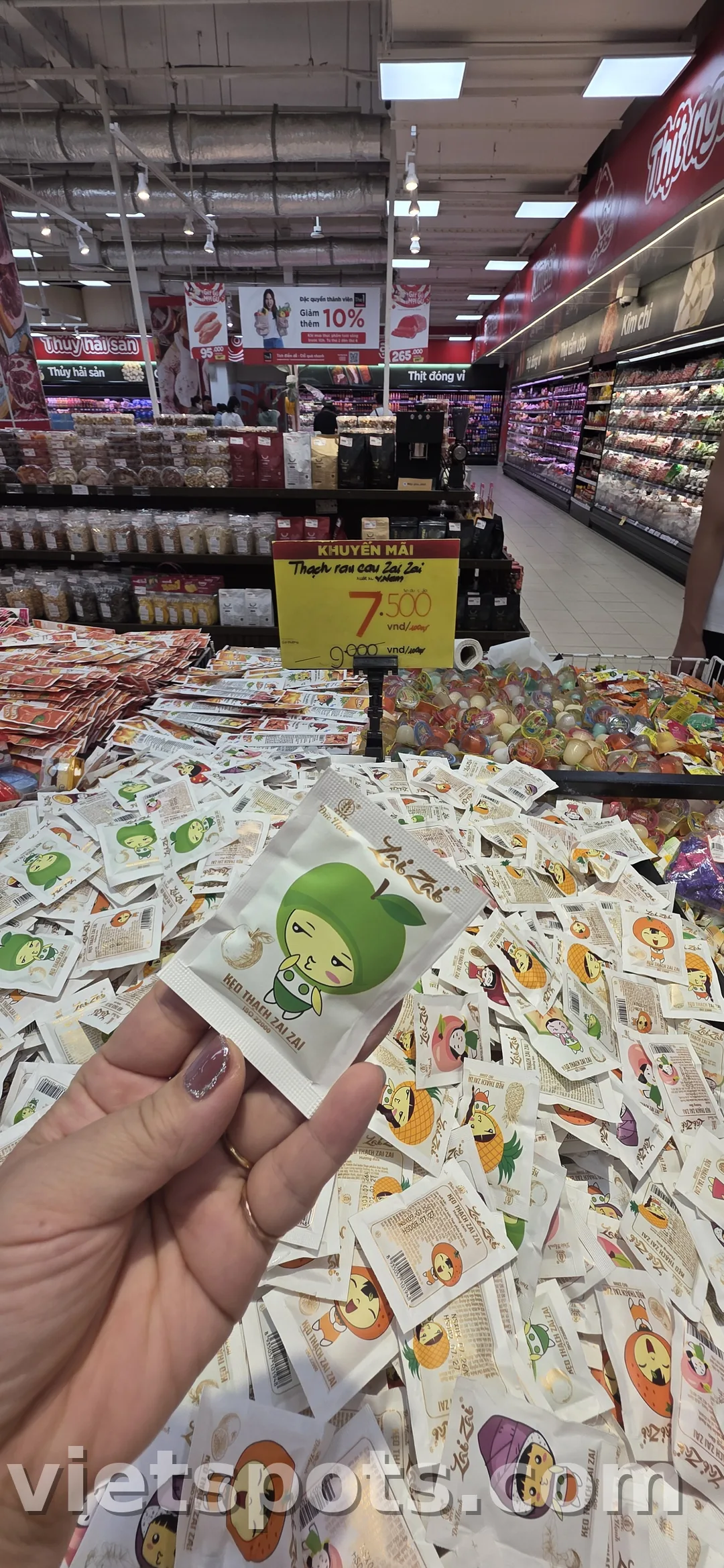 🚩고마트 GO! Đà Nẵng