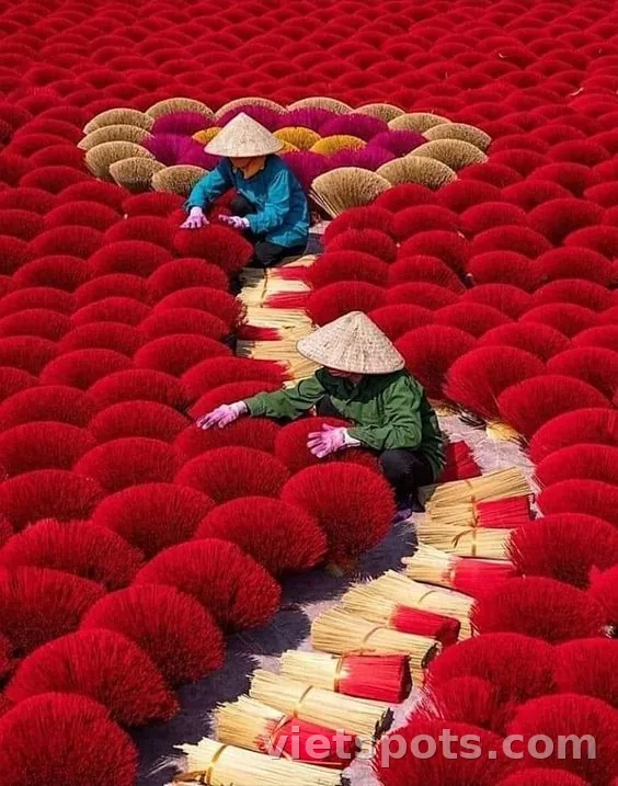 Tour tàu hỏa Huế (bữa trưa)