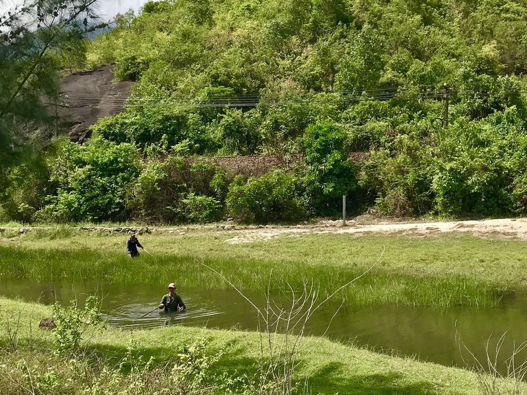 湿地漁