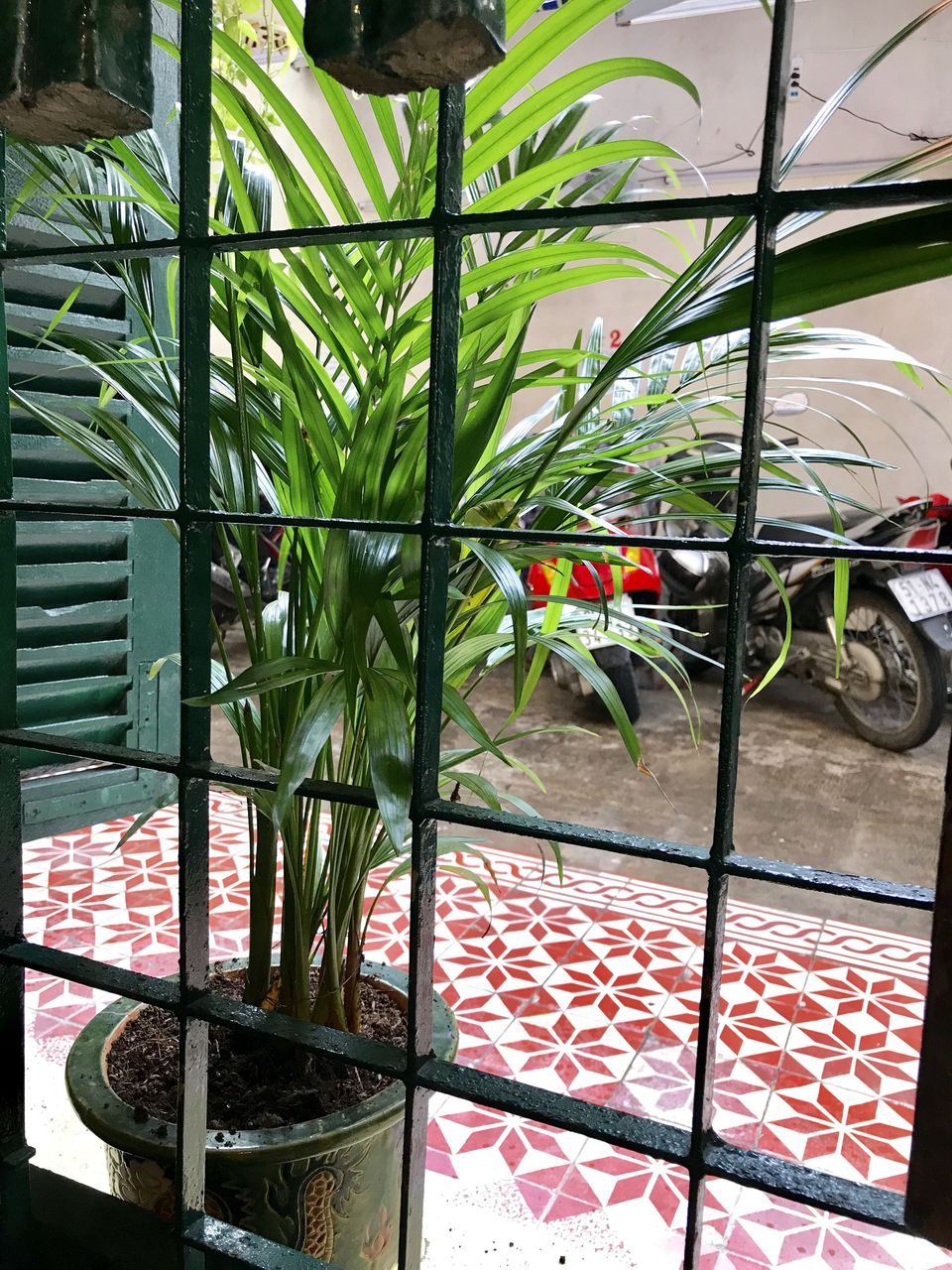 枠窓　床タイル