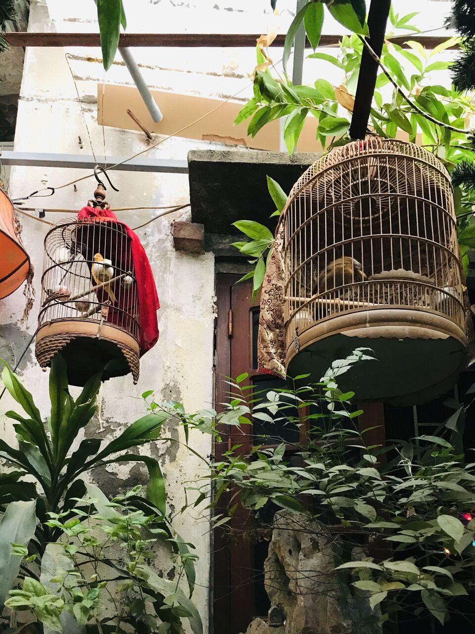 鳥籠カフェハノイ２
