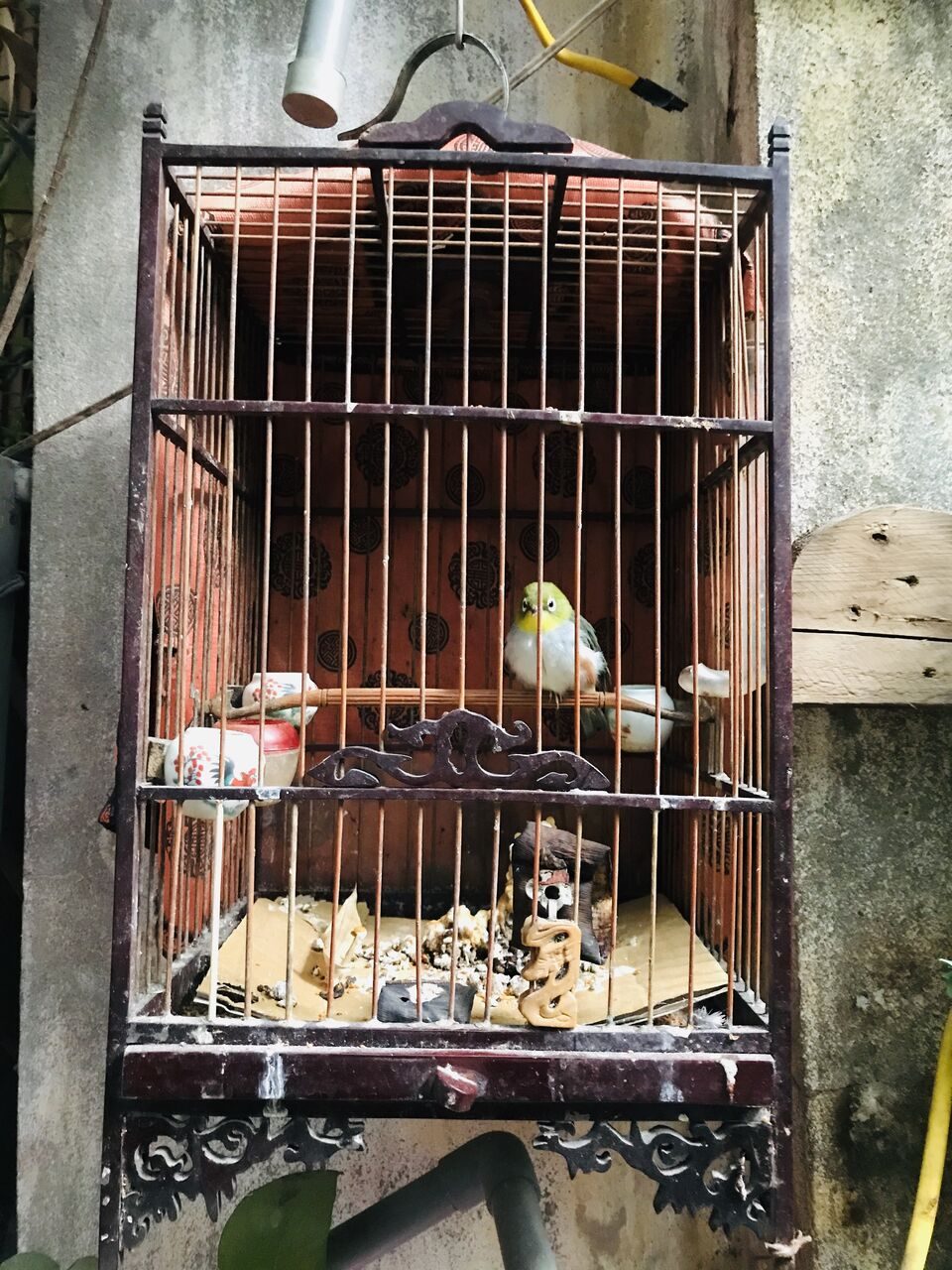 めじろ鳥籠カフェハノイ