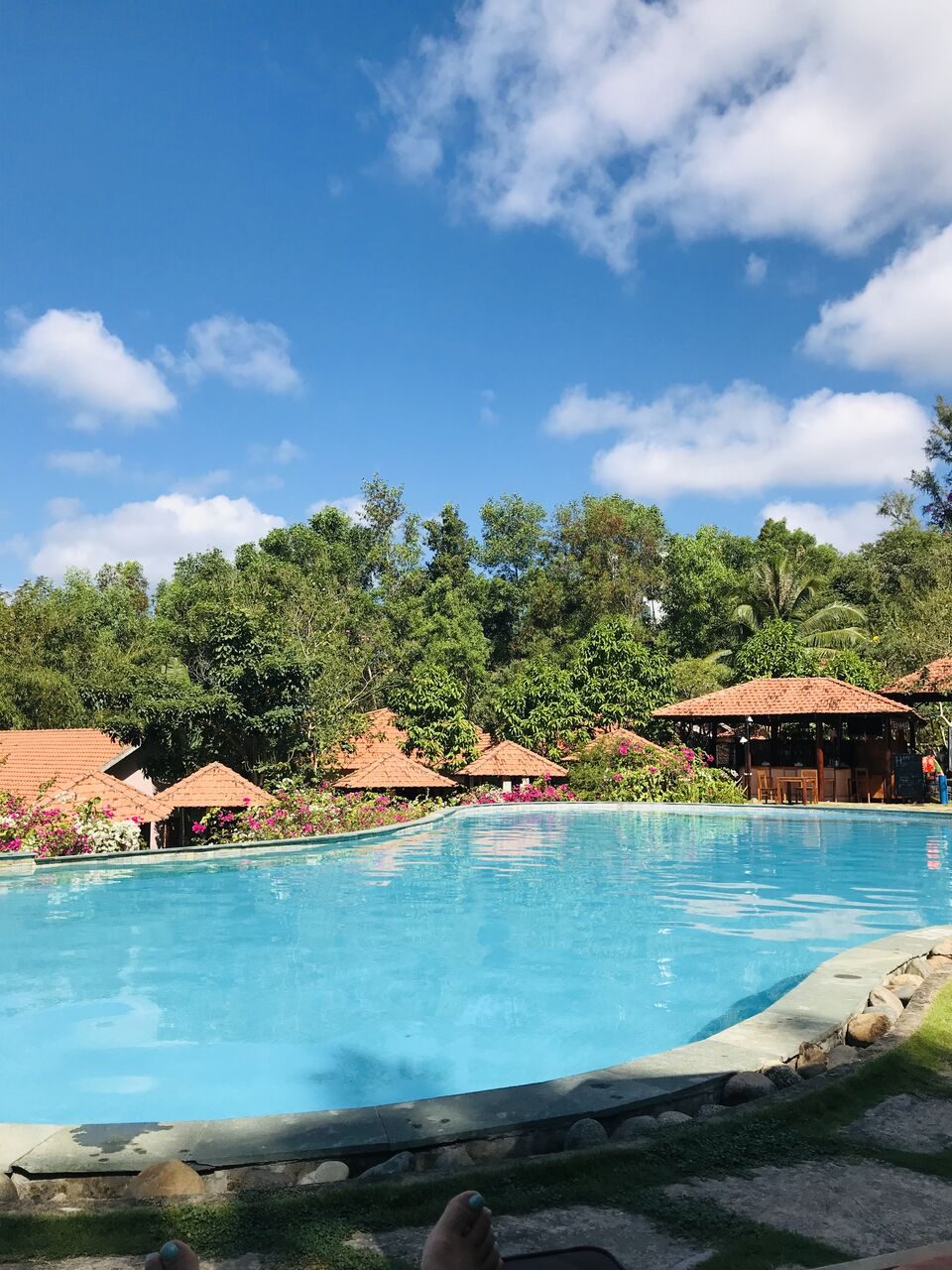 daisy resort プール