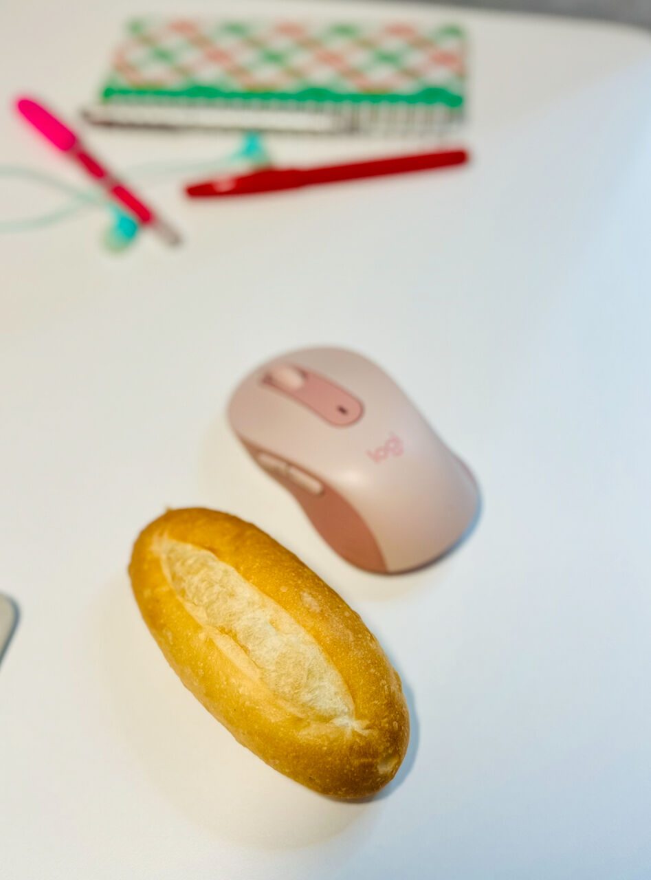最新の写真を表示 2