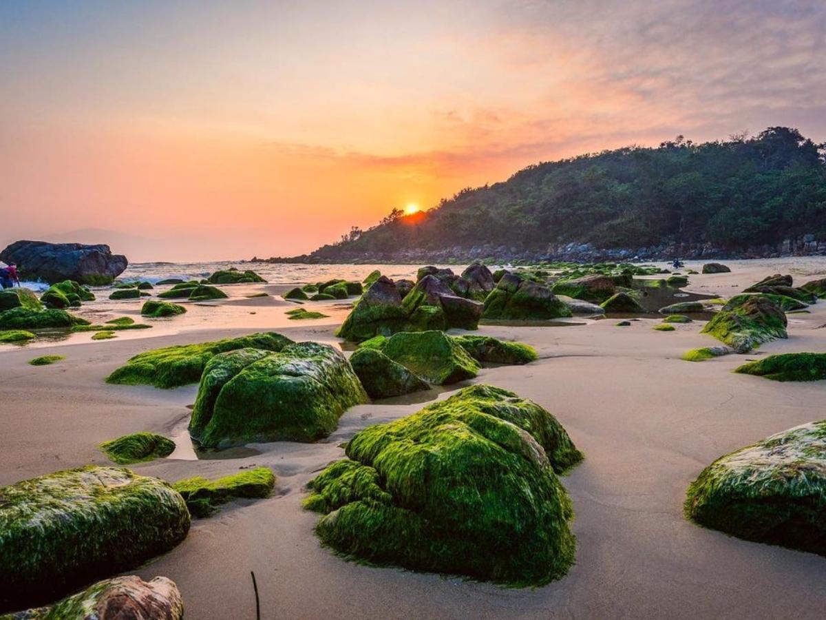 🌊 Nam Ô – Một góc Đà Nẵng rất khác mà bạn nên thử một lần