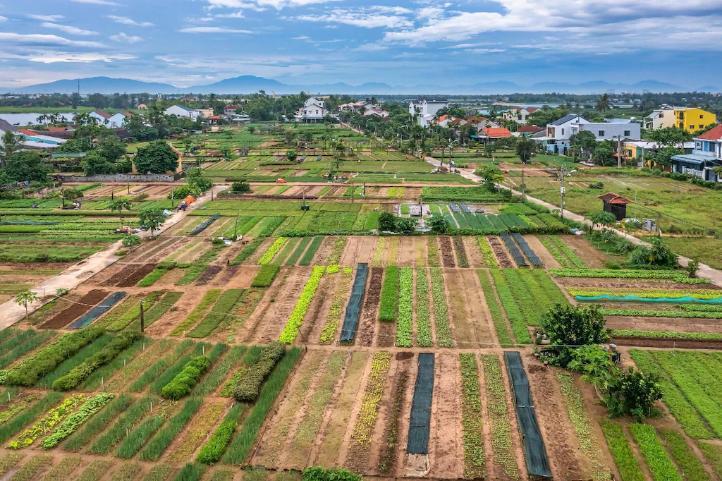 Summer Beach Villa An Bàng: 400 mét ra biển, nhưng 5 km mới tới phố cổ