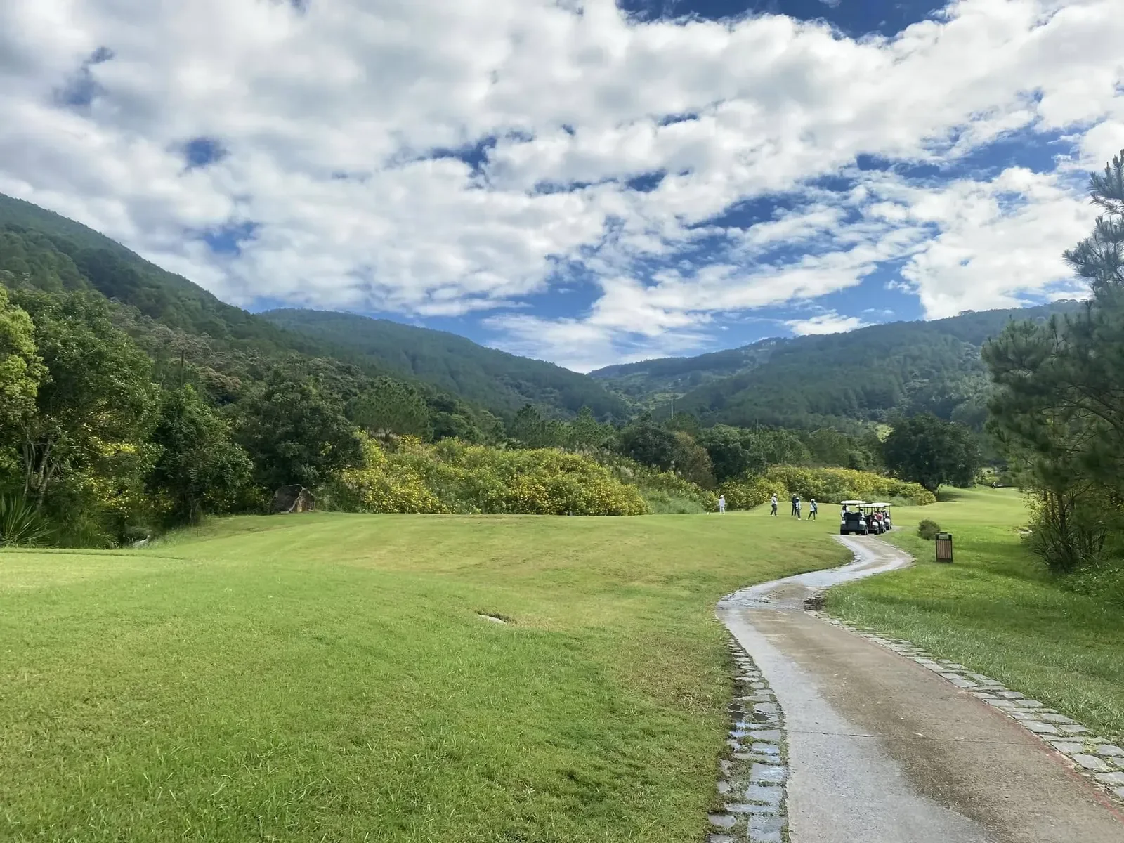 Thung lũng sân The Dalat at 1200 với đồi thông hai bên, bụi dã quỳ vàng nở dọc rìa sân và nhóm golfer đang đi bộ