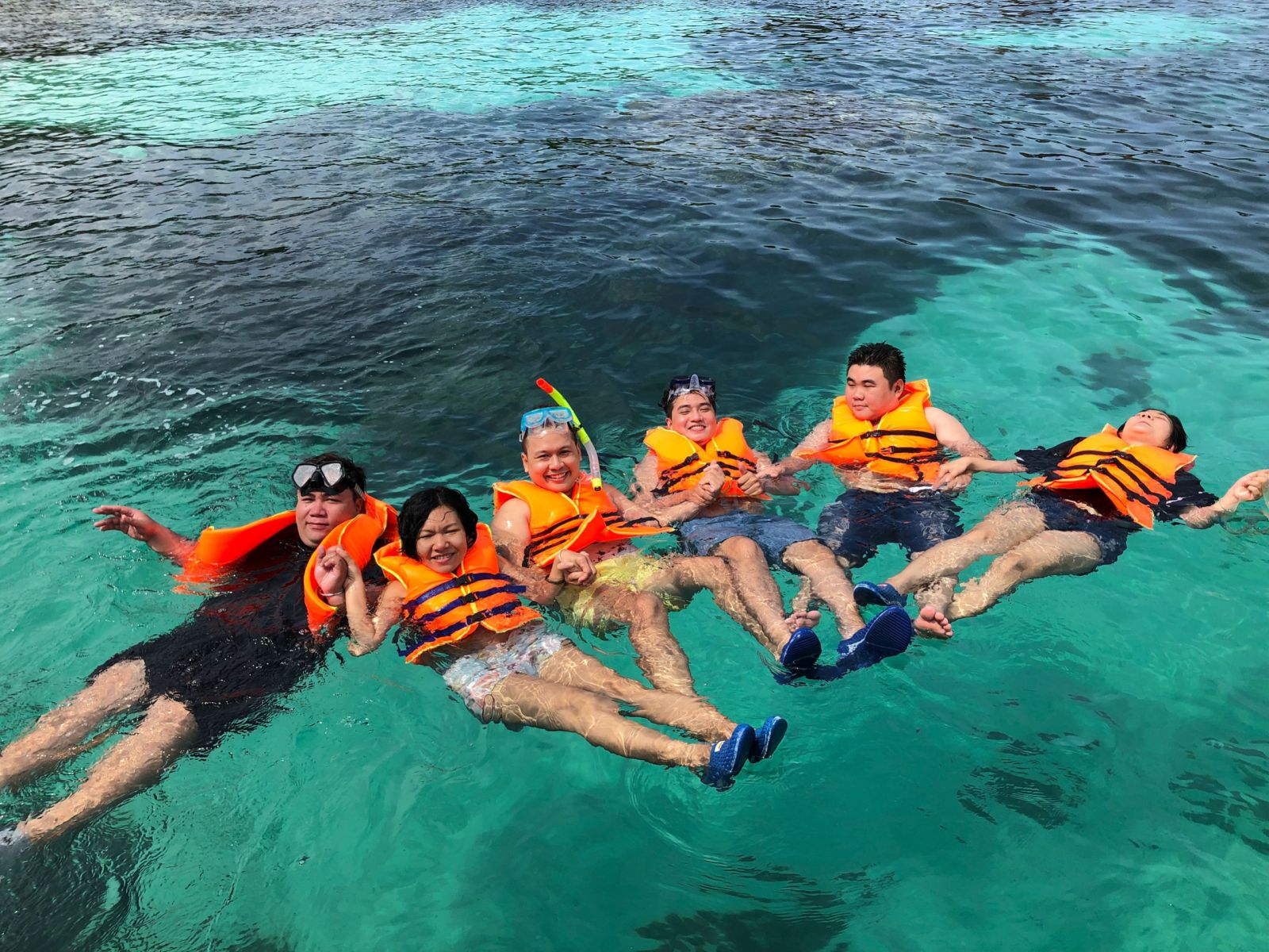 Tour cây dừa trọn gói trên biển