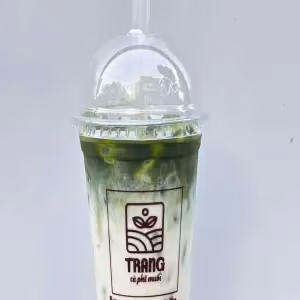 Matcha Sữa Gấu