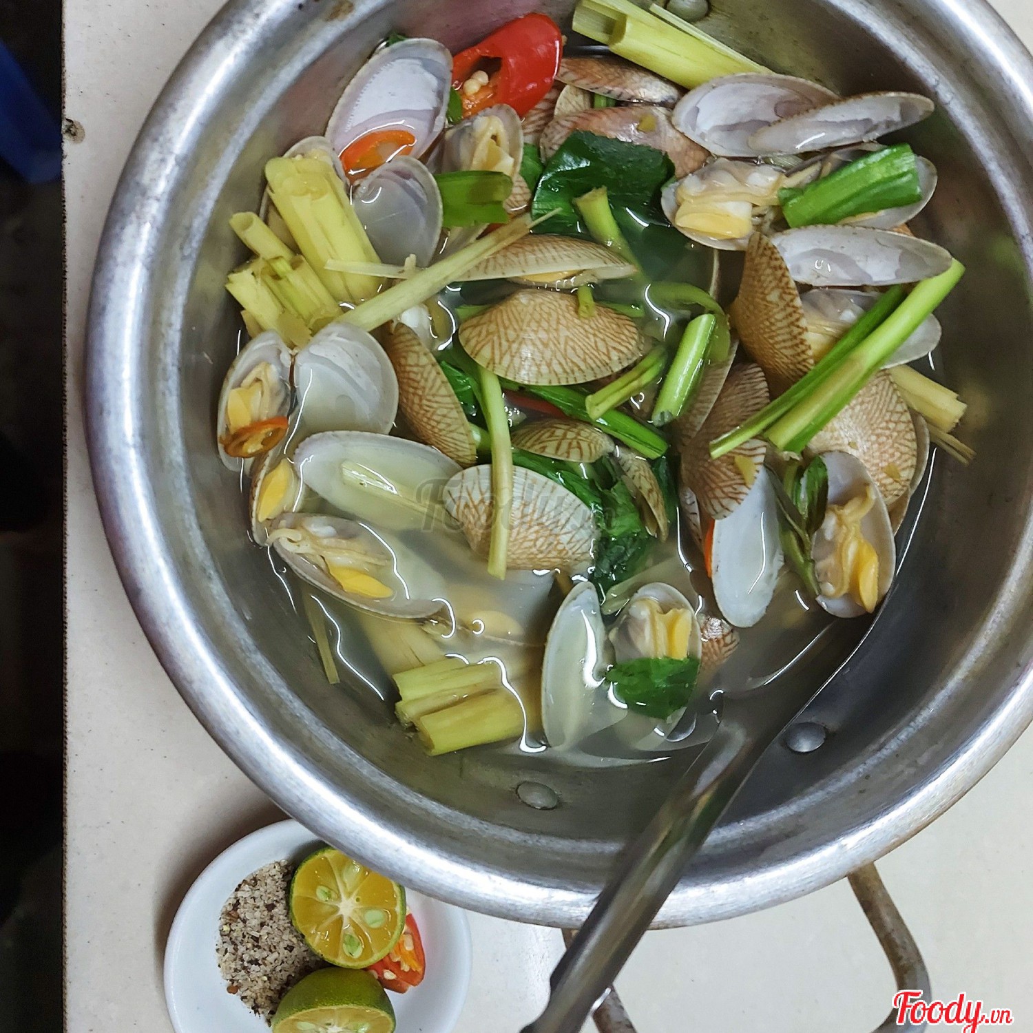 Chíp chíp hấp