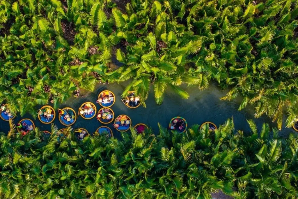 Từ Đà Nẵng: Tour Rừng dừa Cẩm Thanh thuyền thúng