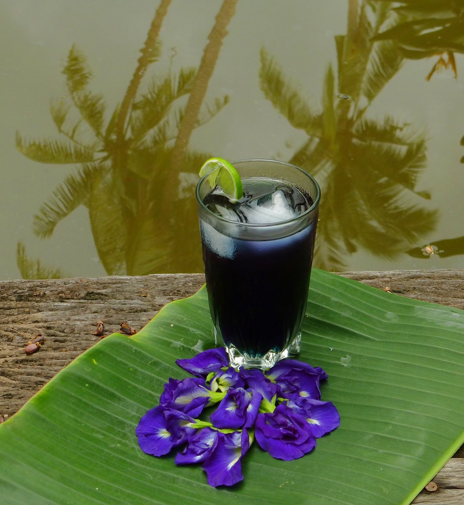 Trà Hoa Đậu Biếc