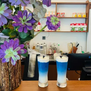 HOA ĐẬU BIẾC MILKFOARM