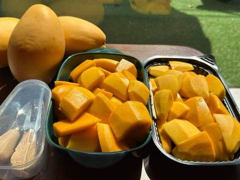 Xoài vàng đóng hộp 500g