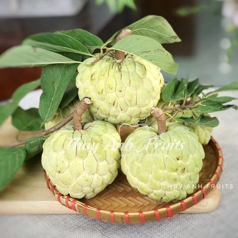 Mãng cầu
