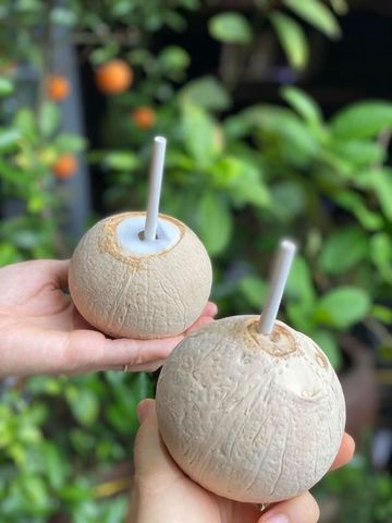 Dừa