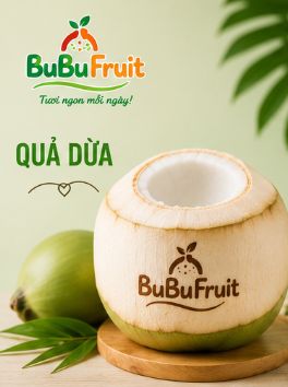 Quả dừa