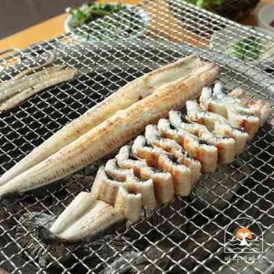 Set lươn nướng than 400g