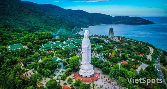 在山茶的空間裡尋回一絲寧靜 🌿🌊