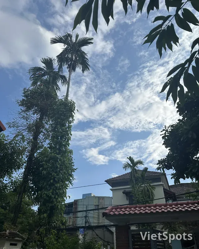🌤️ สภาพอากาศดานังวันที่ 26/10: เริ่มต้นสัปดาห์ใหม่อย่างเย็นสบาย ระวังฝนตกกะทันหัน! 🌧️✨
