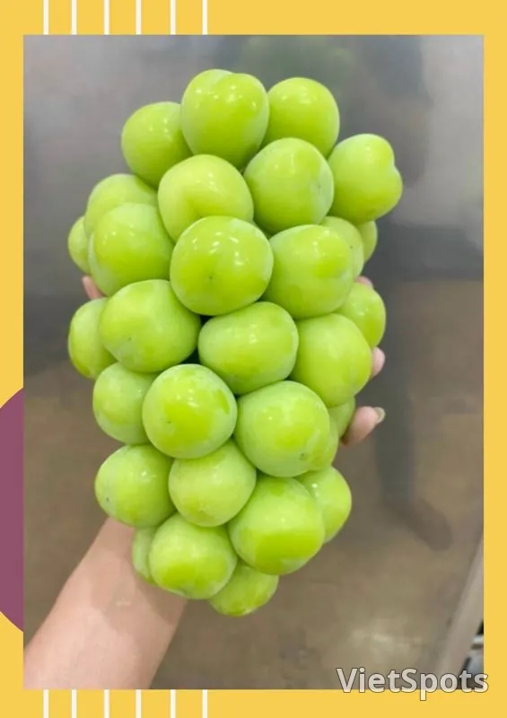 ミルクぶどう