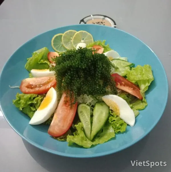 Salad rau xanh