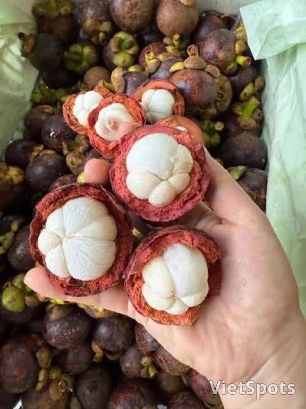 Măng Cụt (500g)