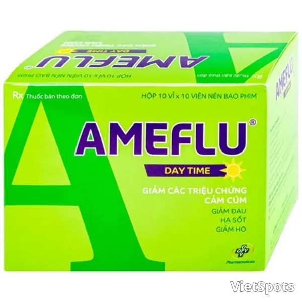 아메플루 데이타임 (H/100V)