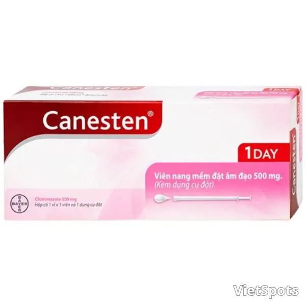 카네스텐 1 DAY 500mg