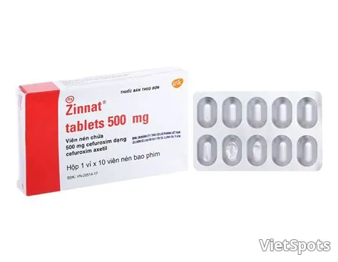 1KS28 Zinnat 500