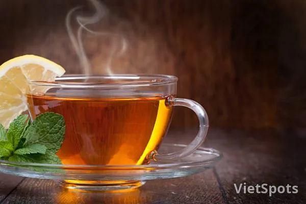Lipton nóng