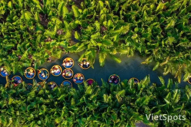 Từ Đà Nẵng: Tour Rừng dừa Cẩm Thanh thuyền thúng