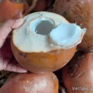 整顆暹羅椰子