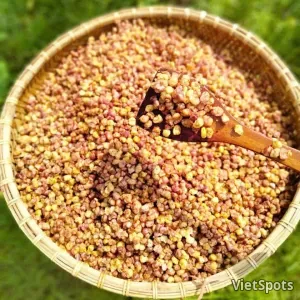 ngô rang củi điện biên