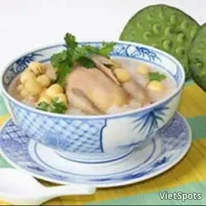 Cháo bồ câu - lớn