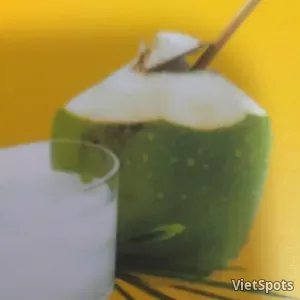 Nước Dừa Trái