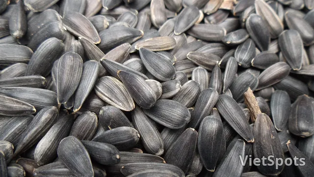 Hạt Hướng Dương