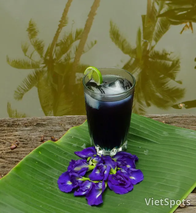 Trà Hoa Đậu Biếc