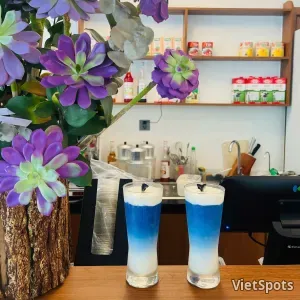 HOA ĐẬU BIẾC MILKFOARM