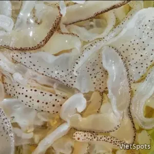जेलीफिश