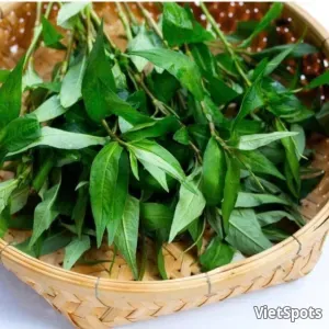 वियतनामी धनिया (राउ राम)