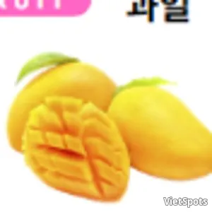 망고 500g