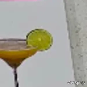 패션 쿨러