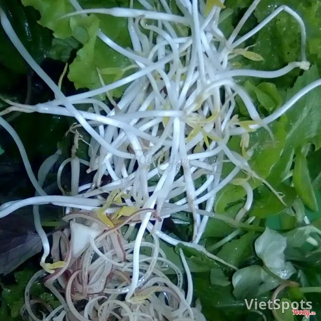 ผักเพิ่ม